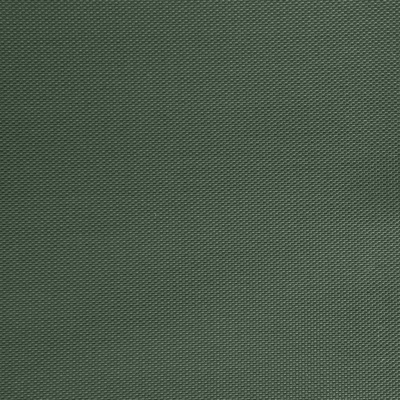 Оксфорд (Oxford) 240D 19-5917, PU/WR, 115 гр/м2, шир.150см, цвет т.зелёный - купить в Находке. Цена 152.54 руб.