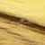 Текстильный материал "Диско"#1805 с покрытием РЕТ, 40гр/м2, 100% полиэстер, цв.5-золото - купить в Находке. Цена 412.36 руб.
