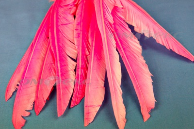 Декоративный Пучок из перьев, перо 25см/розовый - купить в Находке. Цена: 14.40 руб.