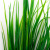 Трава искусственная -2, шт (осока 41см/8 см)				 - купить в Находке. Цена: 104.57 руб.