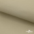 Ткань подкладочная TWILL 230T 14-1108, беж светлый 100% полиэстер,66 г/м2, шир.150 cм - купить в Находке. Цена 90.59 руб.