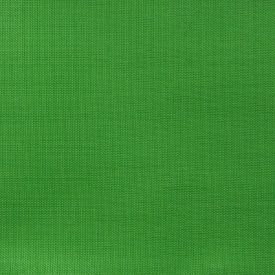Ткань подкладочная Таффета 17-6153, 48 гр/м2, шир.150см, цвет трава - купить в Находке. Цена 54.64 руб.