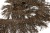 008-коричневый, Бахрома арт.001 шир.10см (упак.12+/-0,5м) - купить в Находке. Цена: 1 017.33 руб.