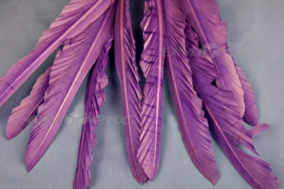 Декоративный Пучок из перьев, перо 25см/фиолетовый - купить в Находке. Цена: 12.19 руб.