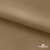 Ткань подкладочная Таффета 17-1327, антист., 54 гр/м2, шир.150см, цвет св.коричневый - купить в Находке. Цена 65.53 руб.
