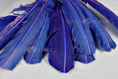 Декоративный Пучок из перьев, перо 23см/синий - купить в Находке. Цена: 12.34 руб.